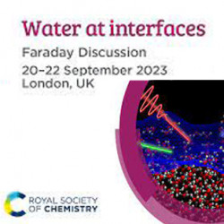 Water at interfaces Faraday Discussion