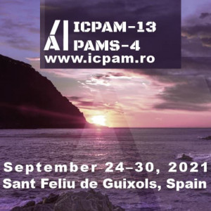 13th International Conference on Physics of Advanced Materials (ICPAM-13)