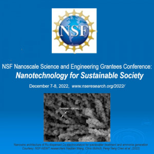 2022 NSF Nanoscale Science and Engineering Grantees Conference
