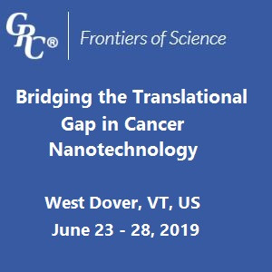 Bridging the Translational Gap in Cancer Nanotechnology