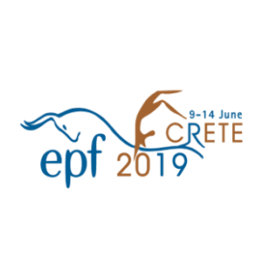 European Polymer Congress 2019 (EPF 2019)
