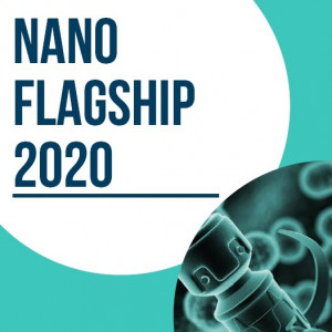 Nanotechnology and Nanomedicine Conference (Nano Flagship 2020)