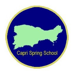 The Capri Spring School on Transport in Nanostructures 2019