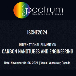 International Summit on Carbon Nanotubes and Engineering (ISCNE2024)