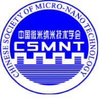 Chinese Society of Micro-Nano Technology
