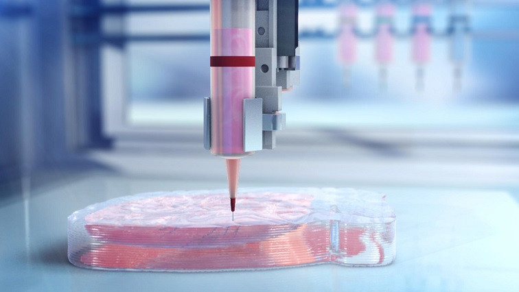 Amerigo Scientific Announces New 3D Graphene for Bioprinting