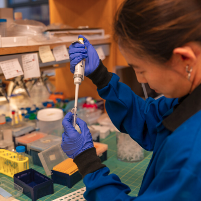 Penn Engineers Explore How Tumor Mechanics and Tiny Messengers Could Shape the Future of Cancer Research