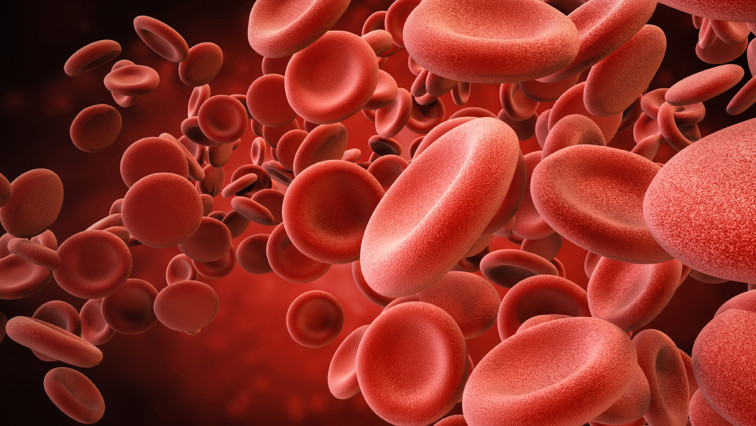 Particles Released by Red Blood Cells Are Effective Carriers for Anti-cancer Immunotherapy