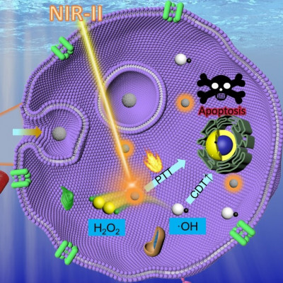 New Iron-doped Carbon Based Nanoparticles Boost Cancer Treatment with Enhanced Precision and Safety