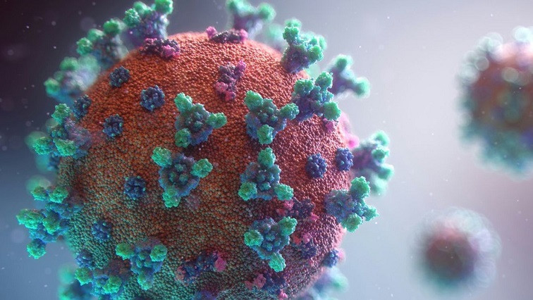 Lab-made Sugar-coated Particle Blocks Covid-19 Infection — Possible New Treatment on the Horizon