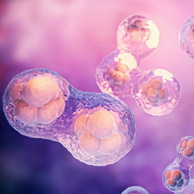 LifeSpan Vision Ventures Invests in NaNotics