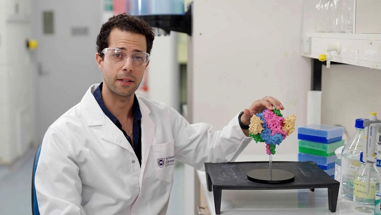 Tiny Antibody Has Big Impact on Deadly Hendra and Nipah Viruses