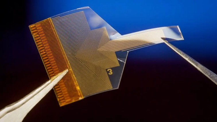 Advancing Toward Long-term Stable Graphene Neural Implants