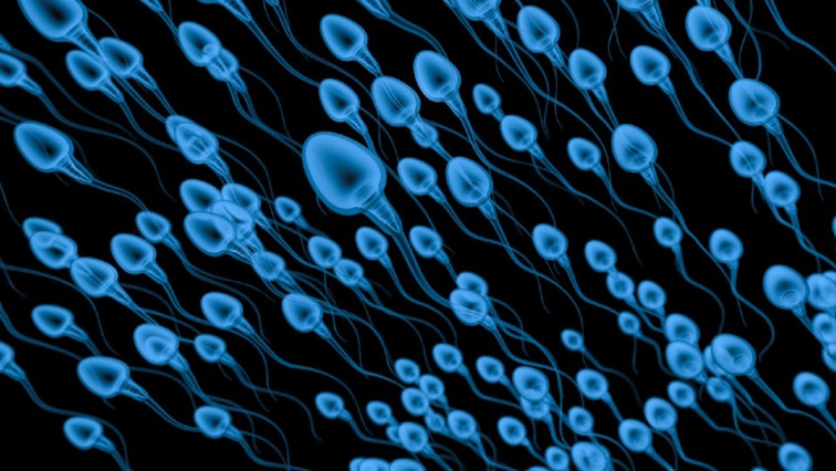 Scientists Uncover How Microswimmers Move Faster in Groups – Paving the Way for Tiny Drug-delivering Robots