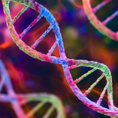 Novel DNA-based Assemblies for the Development of Remote-controlled Microsystems