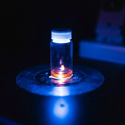 Team Finds Positively Brighter Understanding of How Kidneys Work