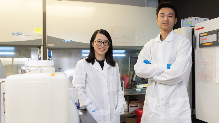 Researchers Use Nanotubes to Improve Blood Flow in Bioengineered Tissues