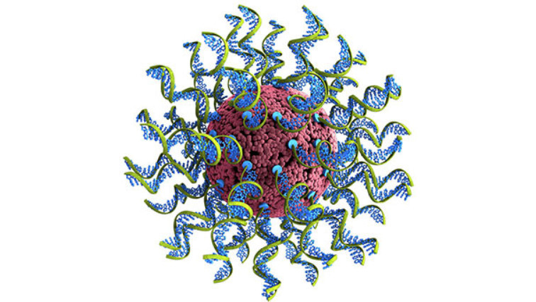 Nanoparticle-based COVID-19 Vaccine Could Target Future Infectious Diseases