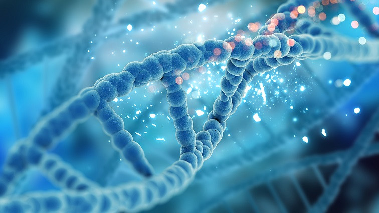 International Team Develops Novel DNA Nano-engine