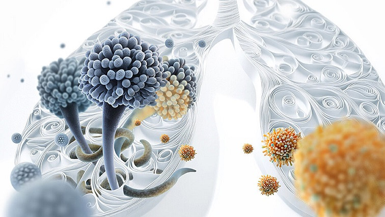Major Progress in the Fight Against Dangerous Fungal Infections