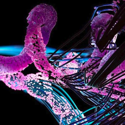 ‘Cloaked’ Proteins Deliver Cancer-killing Therapeutics into Cells