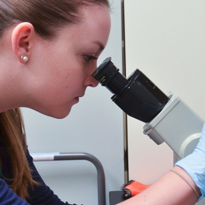 New Research May Make Future Design of Nanotechnology Safer with Fewer Side Effects