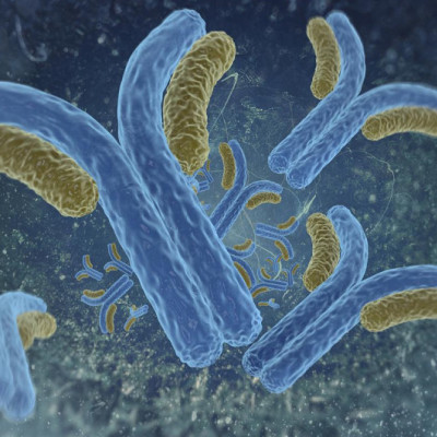 Researchers Explain How Nanomaterial Aids Antibody Response