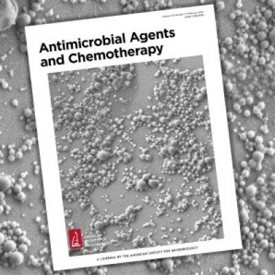 UB Researchers Develop New Inhalable TB Treatment