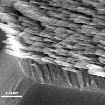 Shining a Lght on Molecules: L-shaped Metamaterials Can Control Light Direction