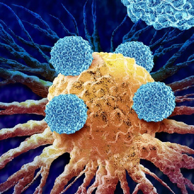 New Nanomedicine Platform “TITUR” Shows Promise for Advancing Personalized mRNA Cancer Therapeutics