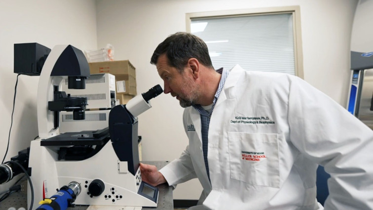 Nanobody-based Immunotherapy: A Potential Solution for Major Depressive Disorders?