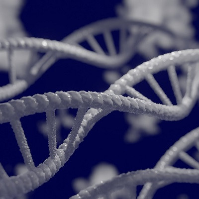 Researchers Craft ‘Origami DNA’ to Control Virus Assembly