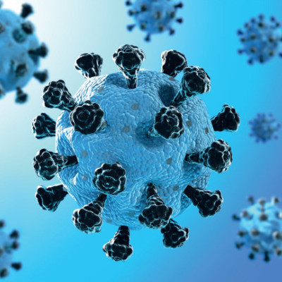 Inhalable Molecules Neutralize SARS-CoV-2 in Mice