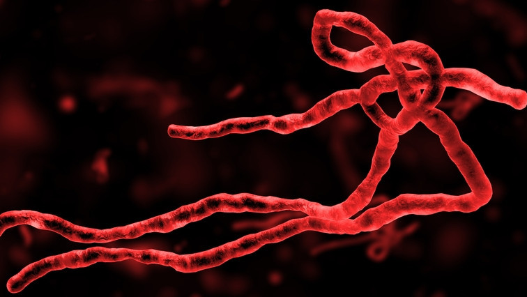 Trojan Horses and Tunneling Nanotubes: Ebola Virus Research at Texas Biomed Gets NIH Funding Boost