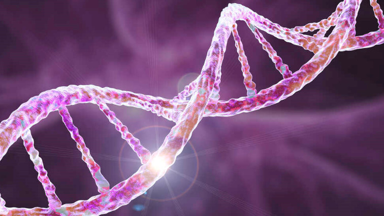 Breaking Bonds: Double-Helix Unzipping Reveals DNA Physics