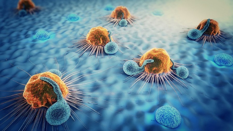 Nano-Immunotherapy Developed to Improve Lung Cancer Treatment