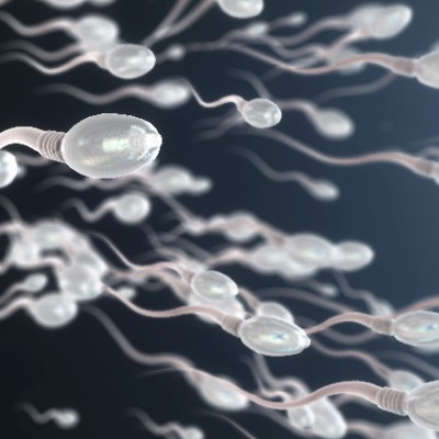 Future of Fertility: Controlling Sperm Bots