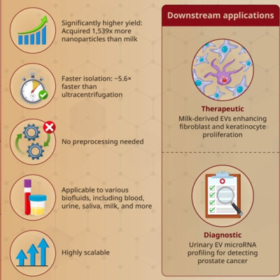 Creating a Hydrogel Platform for High-Throughput Extracellular Vesicle Isolation