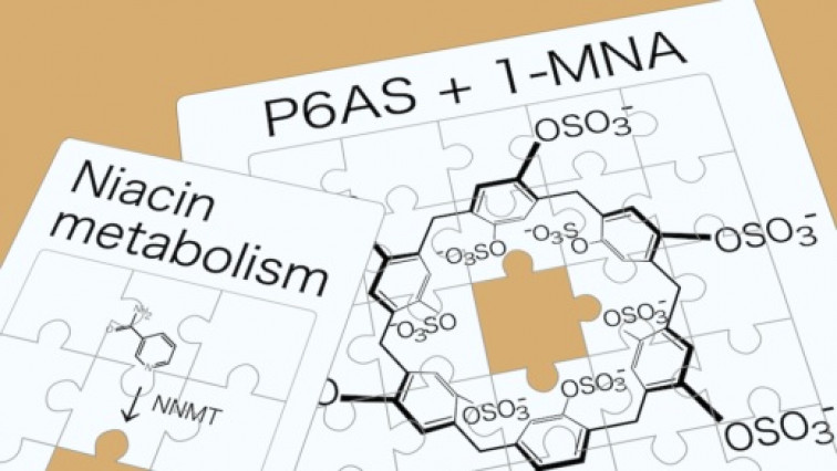 High Sensitivity High Throughput Biosensor Measures Metabolite Levels that Indicate Disease