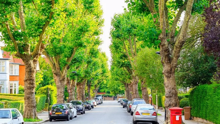 Surrey’s Global Centre for Clean Air Research Identifies Tall, Dense Trees as Effective Weapon Against Traffic’s Toxic Nanoparticles