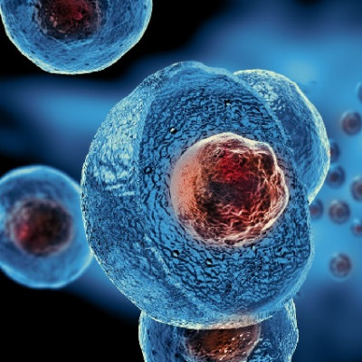 Using Nanotech As a Way of Differentiating Cells from One Another