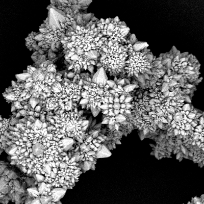 Concordia Researchers Develop Light-powered Micromotors That Move through Air
