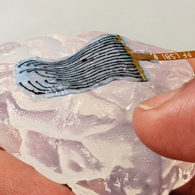Harvard and Manchester Pioneer ‘Soft’ Graphene-containing Electrodes That Adapt to Living Tissue
