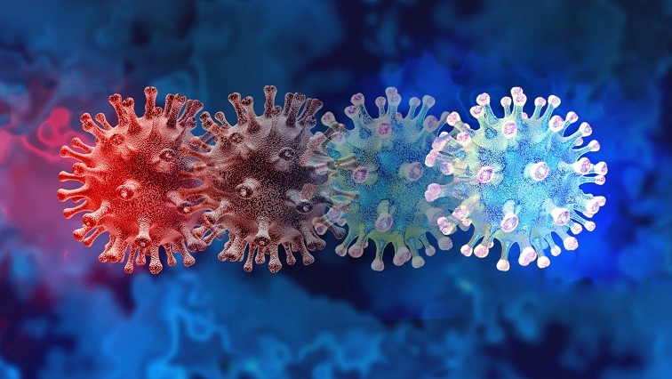 Novel All-in-One Vaccine Developed to Tackle Future Coronavirus Threats