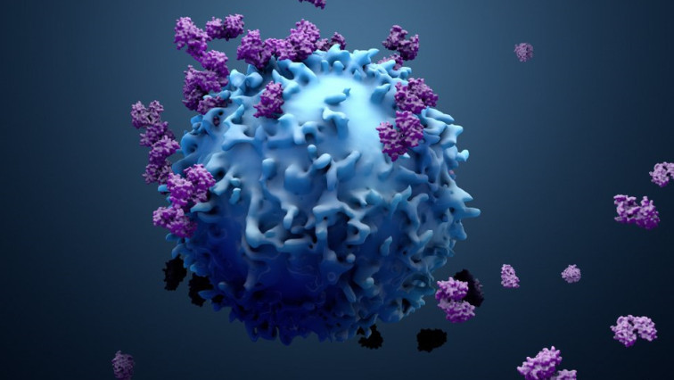 A Novel Nanoplatform for Delivering Drugs into Lymphocytes