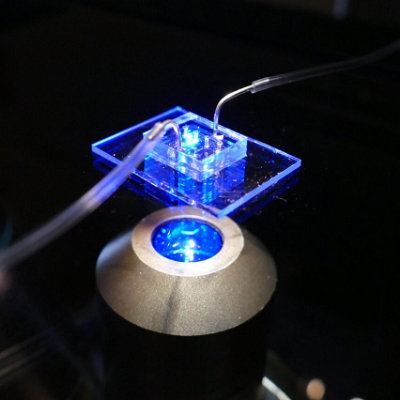 Heart-on-a-chip May Lead to New Treatments for Heart Failure