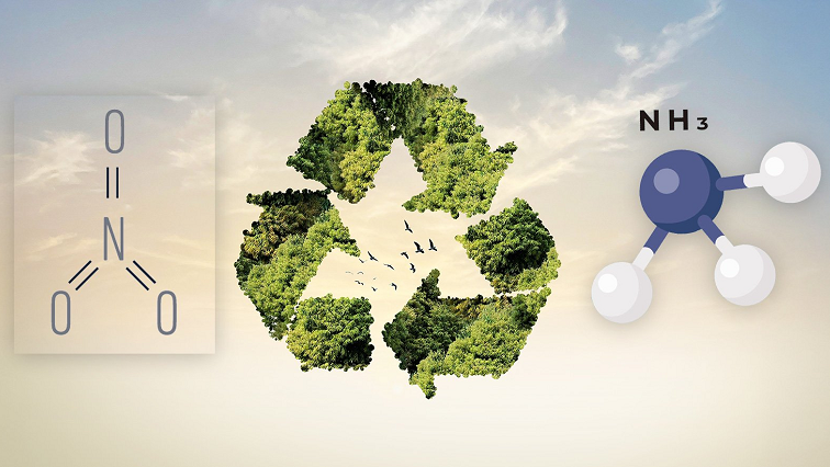 Recycling a Pollutant to Make Ammonia Production Greener