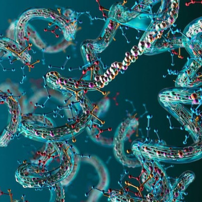 Modeling Atomistic Biomolecular Dynamics from HS-AFM Imaging