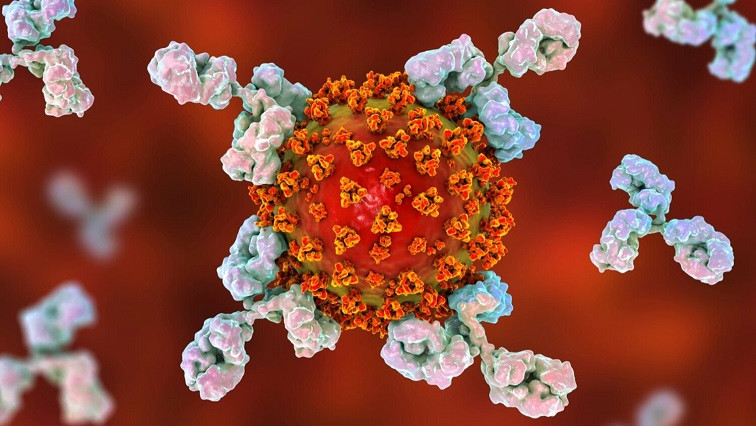 Coronavirus Nanoscience: The Tiny Technologies Tackling a Global Pandemic