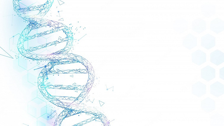 Designing with DNA